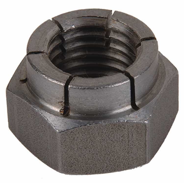 Nuts Threads for the South